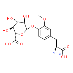ChemSpider 2D Image | (2S,3S,4S,5R)-6-{4-[(2S)-2-Amino-2-carboxyethyl]-2-methoxyphenoxy}-3,4,5-trihydroxytetrahydro-2H-pyran-2-carboxylic acid (non-preferred name) | C16H21NO10