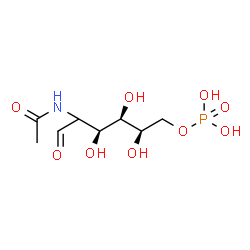 ChemSpider 2D Image | (2xi)-2-Acetamido-2-deoxy-6-O-phosphono-D-xylo-hexose | C8H16NO9P