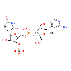ChemSpider 2D Image | [(2S,3R,4S,5S)-5-(6-aminopurin-9-yl)-4-hydroxy-2-(hydroxymethyl)tetrahydrofuran-3-yl] [(2R,3S,4R,5R)-5-(2,4-dioxopyrimidin-1-yl)-4-hydroxy-3-phosphonooxy-tetrahydrofuran-2-yl]methyl hydrogen phosphate | C19H25N7O15P2
