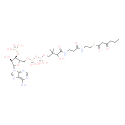 ChemSpider 2D Image | S-{1-[(2S,3R,4S,5S)-5-(6-Amino-9H-purin-9-yl)-4-hydroxy-3-(phosphonooxy)tetrahydro-2-furanyl]-3,5,9-trihydroxy-8,8-dimethyl-3,5-dioxido-10,14-dioxo-2,4,6-trioxa-11,15-diaza-3lambda~5~,5lambda~5~-dipho
sphaheptadecan-17-yl} 3-oxohexanethioate (non-preferred name) | C27H44N7O18P3S