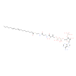 ChemSpider 2D Image | S-{1-[(2R,3S,4R,5R)-5-(6-Amino-9H-purin-9-yl)-4-hydroxy-3-(phosphonooxy)tetrahydro-2-furanyl]-3,5,9-trihydroxy-8,8-dimethyl-3,5-dioxido-10,14-dioxo-2,4,6-trioxa-11,15-diaza-3lambda~5~,5lambda~5~-dipho
sphaheptadecan-17-yl} (9E,12E)-9,12-octadecadienethioate (non-preferred name) | C39H66N7O17P3S