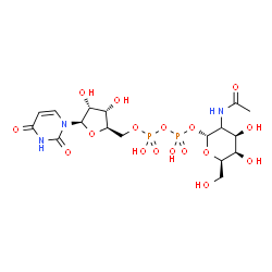 ChemSpider 2D Image | (2R,4R,5R,6R)-3-Acetamido-4,5-dihydroxy-6-(hydroxymethyl)tetrahydro-2H-pyran-2-yl [(2R,3S,4R,5R)-5-(2,4-dioxo-3,4-dihydro-1(2H)-pyrimidinyl)-3,4-dihydroxytetrahydro-2-furanyl]methyl dihydrogen diphosp
hate (non-preferred name) | C17H27N3O17P2