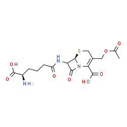 ChemSpider 2D Image | (6R)-3-(Acetoxymethyl)-7-{[(5R)-5-amino-5-carboxypentanoyl]amino}-8-oxo-5-thia-1-azabicyclo[4.2.0]oct-2-ene-2-carboxylic acid | C16H21N3O8S