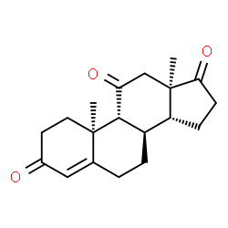 ChemSpider 2D Image | (8alpha,9beta,10alpha,13alpha,14beta)-Androst-4-ene-3,11,17-trione | C19H24O3