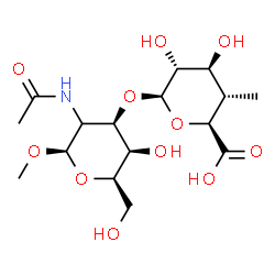 ChemSpider 2D Image | Methyl (2xi)-2-acetamido-2-deoxy-3-O-(4-deoxy-4-methyl-beta-D-glucopyranuronosyl)-beta-D-lyxo-hexopyranoside | C16H27NO11