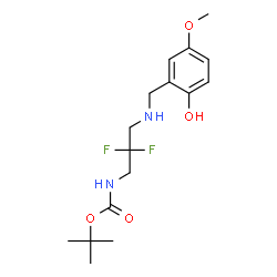 ChemSpider 2D Image | 2-Methyl-2-propanyl {2,2-difluoro-3-[(2-hydroxy-5-methoxybenzyl)amino]propyl}carbamate | C16H24F2N2O4