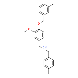 ChemSpider 2D Image | {3-Methoxy-4-[(3-methylbenzyl)oxy]phenyl}-N-(4-methylbenzyl)methanaminium | C24H28NO2