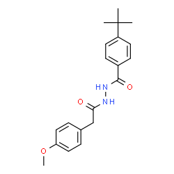 ChemSpider 2D Image | 4-tert-butyl-N'-[2-(4-methoxyphenyl)acetyl]benzohydrazide | C20H24N2O3