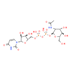 ChemSpider 2D Image | (2S,4S,5R,6S)-3-Acetamido-4,5-dihydroxy-6-(hydroxymethyl)tetrahydro-2H-pyran-2-yl [(2S,3R,4S,5S)-5-(2,4-dioxo-3,4-dihydro-1(2H)-pyrimidinyl)-3,4-dihydroxytetrahydro-2-furanyl]methyl dihydrogen diphosp
hate (non-preferred name) | C17H27N3O17P2