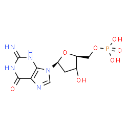 ChemSpider 2D Image | 9-[(3xi)-2-Deoxy-5-O-phosphono-beta-L-glycero-pentofuranosyl]-2-imino-1,2,3,9-tetrahydro-6H-purin-6-one | C10H14N5O7P