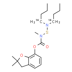 ChemSpider 2D Image | 2,2-Dimethyl-2,3-dihydro-1-benzofuran-7-yl ({bis[(1-~14~C)butyl]amino}sulfanyl)methylcarbamate | C1814C2H32N2O3S
