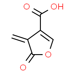 ChemSpider 2D Image | 4-Methylene-5-oxo-4,5-dihydro-3-furancarboxylic acid | C6H4O4