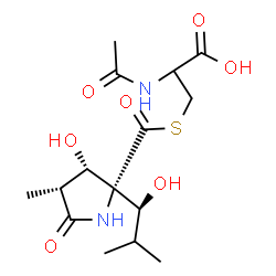 ChemSpider 2D Image | N-Acetyl-S-({(2R,3S,4R)-3-hydroxy-2-[(1S)-1-hydroxy-2-methylpropyl]-4-methyl-5-oxo-2-pyrrolidinyl}carbonyl)cysteine | C15H24N2O7S
