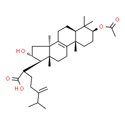 ChemSpider 2D Image | (3beta,16alpha,20S)-3-Acetoxy-16-hydroxy-24-methylenelanost-8-en-21-oic acid | C33H52O5
