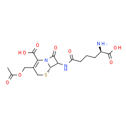 ChemSpider 2D Image | (6S)-3-(Acetoxymethyl)-7-{[(5R)-5-amino-5-carboxypentanoyl]amino}-8-oxo-5-thia-1-azabicyclo[4.2.0]oct-2-ene-2-carboxylic acid | C16H21N3O8S