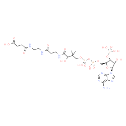 ChemSpider 2D Image | 1-[(2S,3R,4S,5S)-5-(6-Amino-9H-purin-9-yl)-4-hydroxy-3-(phosphonooxy)tetrahydro-2-furanyl]-3,5,9-trihydroxy-8,8-dimethyl-10,14,19-trioxo-2,4,6-trioxa-11,15,18-triaza-3,5-diphosphadocosan-22-oic acid 3
,5-dioxide (non-preferred name) | C25H41N8O19P3