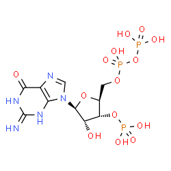 ChemSpider 2D Image | 9-{5-O-[Hydroxy(phosphonooxy)phosphoryl]-3-O-phosphono-beta-L-ribofuranosyl}-2-imino-1,2,3,9-tetrahydro-6H-purin-6-one | C10H16N5O14P3