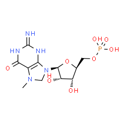 ChemSpider 2D Image | 2-Imino-7-methyl-9-(5-O-phosphono-beta-L-ribofuranosyl)-1,2,3,7,8,9-hexahydro-6H-purin-6-one | C11H18N5O8P