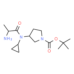 ChemSpider 2D Image | 2-Methyl-2-propanyl 3-[alanyl(cyclopropyl)amino]-1-pyrrolidinecarboxylate | C15H27N3O3
