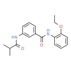 ChemSpider 2D Image | N-(2-Ethoxyphenyl)-3-(isobutyrylamino)benzamide | C19H22N2O3