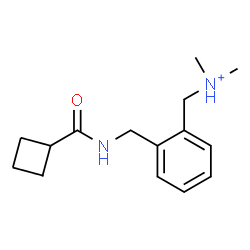 ChemSpider 2D Image | (2-{[(Cyclobutylcarbonyl)amino]methyl}phenyl)-N,N-dimethylmethanaminium | C15H23N2O