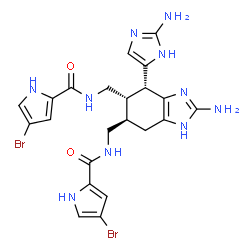 ChemSpider 2D Image | N,N'-{[(4R,5S,6R)-2-Amino-4-(2-amino-1H-imidazol-5-yl)-4,5,6,7-tetrahydro-1H-benzimidazole-5,6-diyl]bis(methylene)}bis(4-bromo-1H-pyrrole-2-carboxamide) | C22H24Br2N10O2