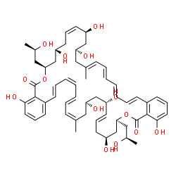 ChemSpider 2D Image | (7S,9S,11Z,13S,15S,17E,19E,21E,23E,31S,33S,35E,37S,39S,41Z,43E,45Z,47E)-4,9,13,15,28,33,37,39-Octahydroxy-7,31-bis[(2R)-2-hydroxypropyl]-17,41-dimethyl-7,8,9,10,13,14,15,16,31,32,33,34,37,38,39,40-hex
adecahydro-5H,29H-dibenzo[c,y][1,23]dioxacyclotetratetracontine-5,29-dione | C58H76O14