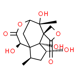 ChemSpider 2D Image | (2R,4R,5R,6S,7R,11R)-4,5,7,11-Tetrahydroxy-2,7-dimethyl-10H-spiro[9-oxatricyclo[6.3.1.0~1,5~]dodecane-6,3'-oxetane]-2',10-dione | C15H20O8