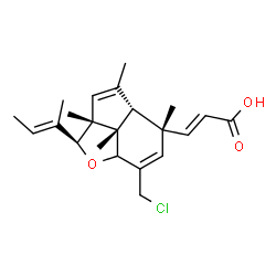 ChemSpider 2D Image | (2E)-3-[(2S,2aR,4aR,5R,7bS)-2-[(2E)-2-Buten-2-yl]-7-(chloromethyl)-2a,4,5,7b-tetramethyl-2,2a,4a,5,7a,7b-hexahydroindeno[7,1-bc]furan-5-yl]acrylic acid | C22H29ClO3