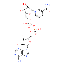 ChemSpider 2D Image | [[(2S,3R,4S,5S)-5-(6-aminopurin-9-yl)-3,4-dihydroxy-tetrahydrofuran-2-yl]methoxy-hydroxy-phosphoryl] [(2R,3S,4R,5R)-5-(3-carbamoyl-4H-pyridin-1-yl)-3,4-dihydroxy-tetrahydrofuran-2-yl]methyl hydrogen phosphate | C21H29N7O14P2