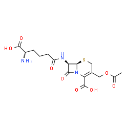 ChemSpider 2D Image | (6R,7R)-3-(Acetoxymethyl)-7-{[(5S)-5-amino-5-carboxypentanoyl]amino}-8-oxo-5-thia-1-azabicyclo[4.2.0]oct-2-ene-2-carboxylic acid | C16H21N3O8S