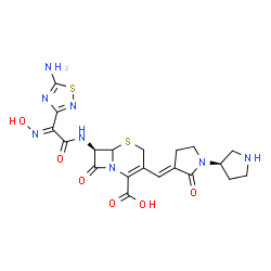 ChemSpider 2D Image | (7R)-7-{[(2E)-2-(5-Amino-1,2,4-thiadiazol-3-yl)-2-(hydroxyimino)acetyl]amino}-8-oxo-3-{(E)-[(3'R)-2-oxo-1,3'-bipyrrolidin-3-ylidene]methyl}-5-thia-1-azabicyclo[4.2.0]oct-2-ene-2-carboxylic acid | C20H22N8O6S2
