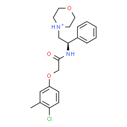 ChemSpider 2D Image | 4-[(2R)-2-{[(4-Chloro-3-methylphenoxy)acetyl]amino}-2-phenylethyl]morpholin-4-ium | C21H26ClN2O3