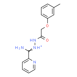 ChemSpider 2D Image | 1-[Amino(2-pyridinyl)methylene]-2-[(3-methylphenoxy)acetyl]hydrazinium | C15H17N4O2