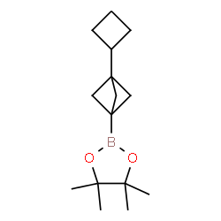 ChemSpider 2D Image | 2-(3-Cyclobutylbicyclo[1.1.1]pent-1-yl)-4,4,5,5-tetramethyl-1,3,2-dioxaborolane | C15H25BO2