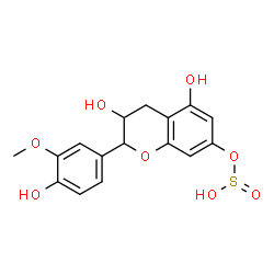 ChemSpider 2D Image | 3,5-Dihydroxy-2-(4-hydroxy-3-methoxyphenyl)-3,4-dihydro-2H-chromen-7-yl hydrogen sulfite | C16H16O8S