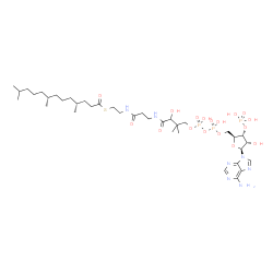 ChemSpider 2D Image | S-{1-[(2S,3R,4S,5S)-5-(6-Amino-9H-purin-9-yl)-4-hydroxy-3-(phosphonooxy)tetrahydro-2-furanyl]-3,5,9-trihydroxy-8,8-dimethyl-3,5-dioxido-10,14-dioxo-2,4,6-trioxa-11,15-diaza-3lambda~5~,5lambda~5~-dipho
sphaheptadecan-17-yl} (4R,8R)-4,8,12-trimethyltridecanethioate (non-preferred name) | C37H66N7O17P3S
