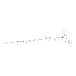 ChemSpider 2D Image | S-{1-[(2S,3S,5S)-5-(6-Amino-9H-purin-9-yl)-4-hydroxy-3-(phosphonooxy)tetrahydro-2-furanyl]-3,5,9-trihydroxy-8,8-dimethyl-3,5-dioxido-10,14-dioxo-2,4,6-trioxa-11,15-diaza-3lambda~5~,5lambda~5~-diphosph
aheptadecan-17-yl} 3-oxohexadecanethioate (non-preferred name) | C37H64N7O18P3S