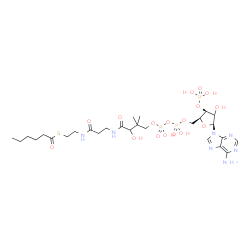 ChemSpider 2D Image | S-{1-[(2S,3S,5S)-5-(6-Amino-9H-purin-9-yl)-4-hydroxy-3-(phosphonooxy)tetrahydro-2-furanyl]-3,5,9-trihydroxy-8,8-dimethyl-3,5-dioxido-10,14-dioxo-2,4,6-trioxa-11,15-diaza-3lambda~5~,5lambda~5~-diphosph
aheptadecan-17-yl} hexanethioate (non-preferred name) | C27H46N7O17P3S
