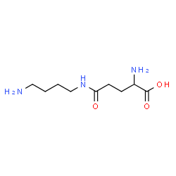 ChemSpider 2D Image | N-(4-Aminobutyl)glutamine | C9H19N3O3