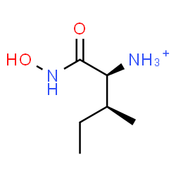 ChemSpider 2D Image | (2S,3S)-1-(Hydroxyamino)-3-methyl-1-oxo-2-pentanaminium | C6H15N2O2