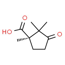 ChemSpider 2D Image | (1R)-1,2,2-Trimethyl-3-oxocyclopentanecarboxylic acid | C9H14O3
