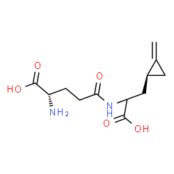 ChemSpider 2D Image | L-gamma-Glutamyl-3-[(1S)-2-methylenecyclopropyl]alanine | C12H18N2O5