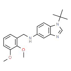 ChemSpider 2D Image | N-(2,3-Dimethoxybenzyl)-1-(2-methyl-2-propanyl)-1H-benzimidazol-5-amine | C20H25N3O2