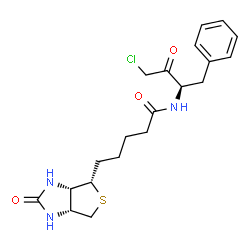 ChemSpider 2D Image | N-[(2R)-4-Chloro-3-oxo-1-phenyl-2-butanyl]-5-[(3aS,4S,6aR)-2-oxohexahydro-1H-thieno[3,4-d]imidazol-4-yl]pentanamide | C20H26ClN3O3S