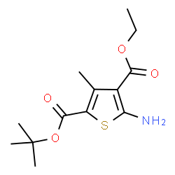 ChemSpider 2D Image | 2-tert-butyl 4-ethyl 5-amino-3-methylthiophene-2,4-dicarboxylate | C13H19NO4S