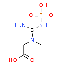 ChemSpider 2D Image | N-{Amino[(hydroxyphosphinato)amino]methyliumyl}-N-methylglycine | C4H10N3O5P