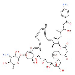 ChemSpider 2D Image | (10R,12S,14S,18S,19S,20S,22R,23E,25Z,31E,35E,37S,38R)-22-[(3-Amino-3,6-dideoxy-beta-D-mannopyranosyl)oxy]-38-[(2S,4S,5S)-7-(4-aminophenyl)-5-hydroxy-4-methyl-7-oxo-2-heptanyl]-10,12,14,18,20-pentahydr
oxy-37-methyl-2,4,8,16-tetraoxooxacyclooctatriaconta-23,25,27,29,31,33,35-heptaene-19-carboxylic acid | C59H84N2O18