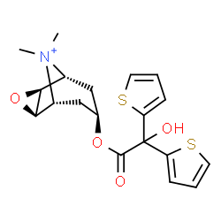 ChemSpider 2D Image | (1R,2R,4S,5R,7R)-7-[2-Hydroxy(di-2-thienyl)acetoxy]-9,9-dimethyl-3-oxa-9-azoniatricyclo[3.3.1.0~2,4~]nonane | C19H22NO4S2