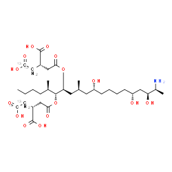 ChemSpider 2D Image | (2S,2'R)-2,2'-{[(5R,6R,7S,9S,11R,16R,18S,19S)-19-Amino-11,16,18-trihydroxy-5,9-dimethyl-6,7-icosanediyl]bis[oxy(2-oxo-2,1-ethanediyl)]}di(3,4-~13~C_2_)butanedioic acid | C3013C4H59NO15